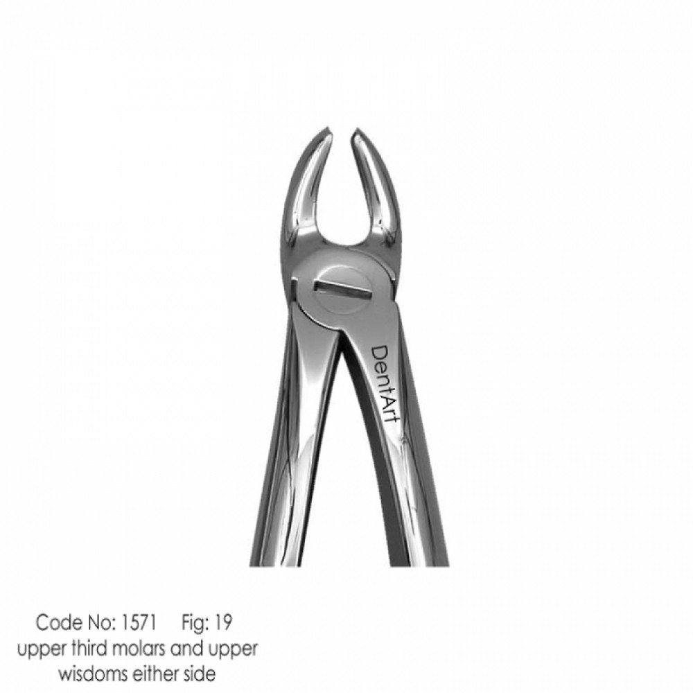 Extraction Forceps. Fig No.19 - UK Type